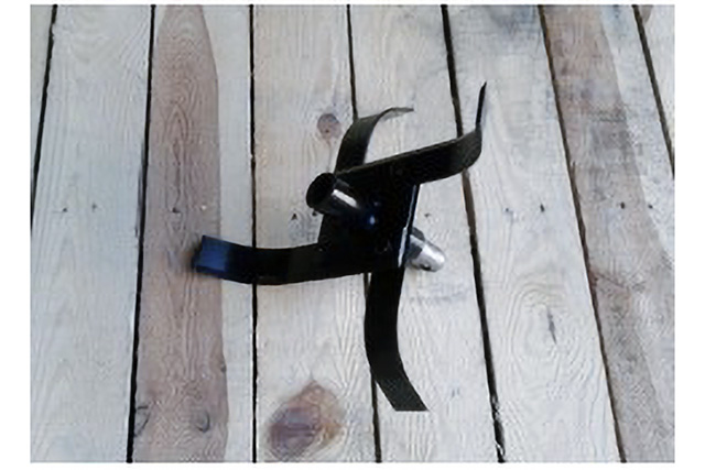 Hvězdice vnější levá