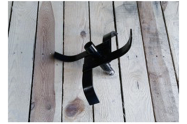 Hvězdice vnější pravá