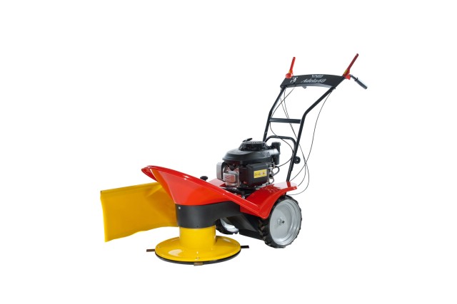 4404 BDR-595 Adela 60